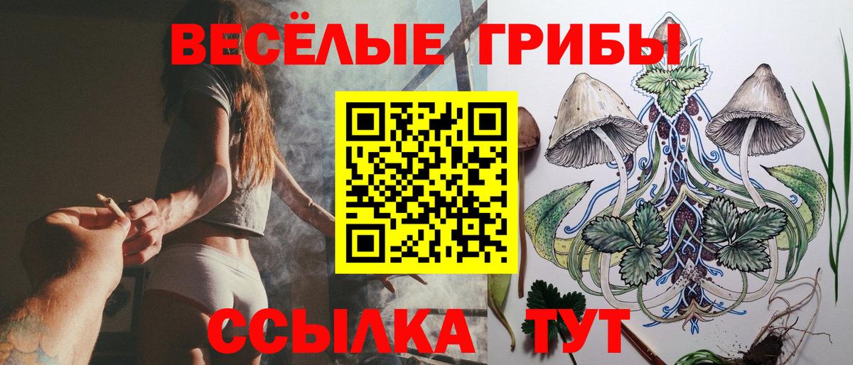 Галлюциногенные грибы мухоморы  Вход с VPN  Кашира 