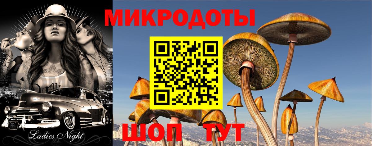 Галлюциногенные грибы прущие грибы Кашира
