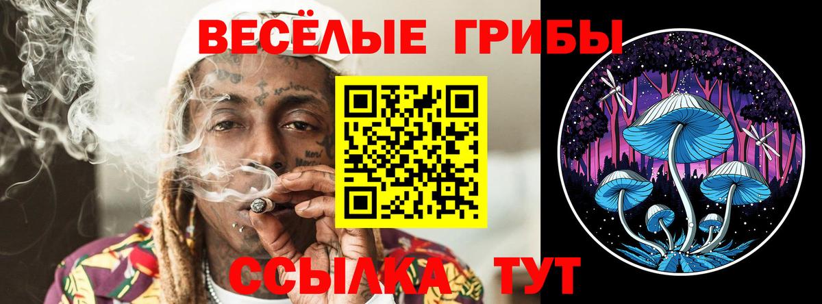 Кетамин  МАРИХУАНА  МЕТ  Кашира  МЕФ кристаллы  ГАШИШ  Вход с VPN 
